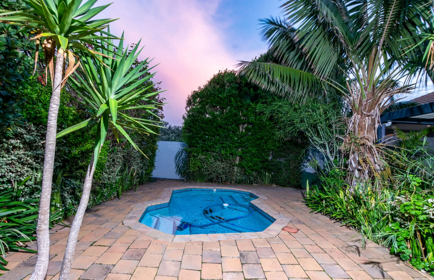 Private pool framed by tropical greenery