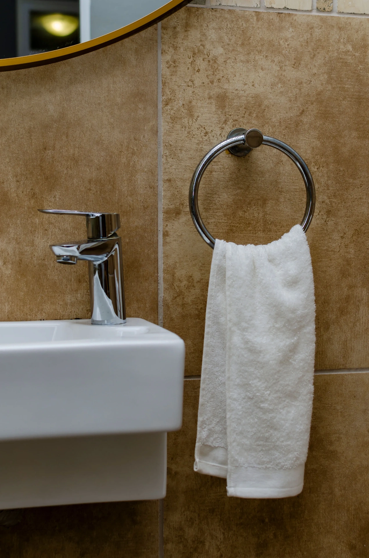 The Horizon Room — vanity and towel ring